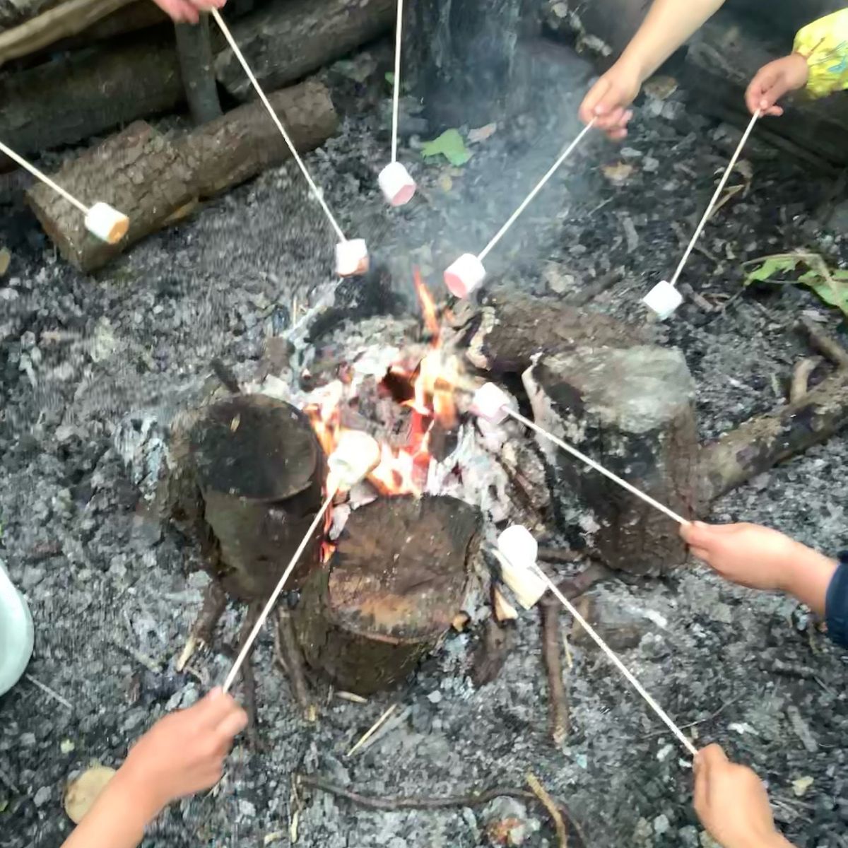 Forest School Activity Day