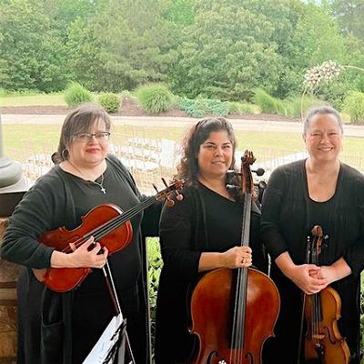 The Sedici String Quartet