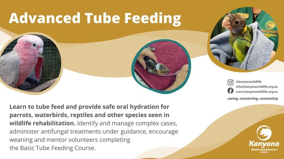 Advanced Tube Feeding