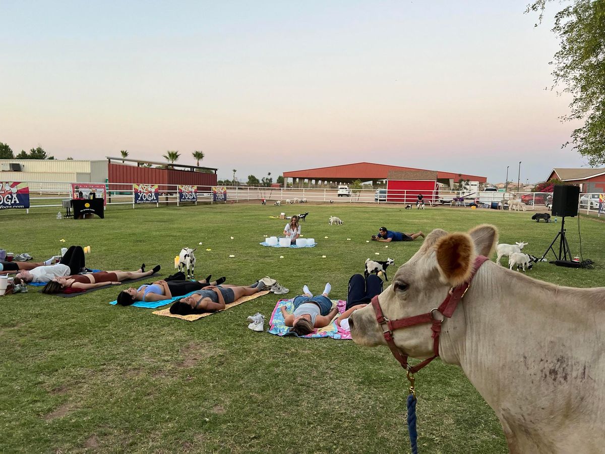 Melody in the Meadow-A Soundbath with Goats and Alpacas