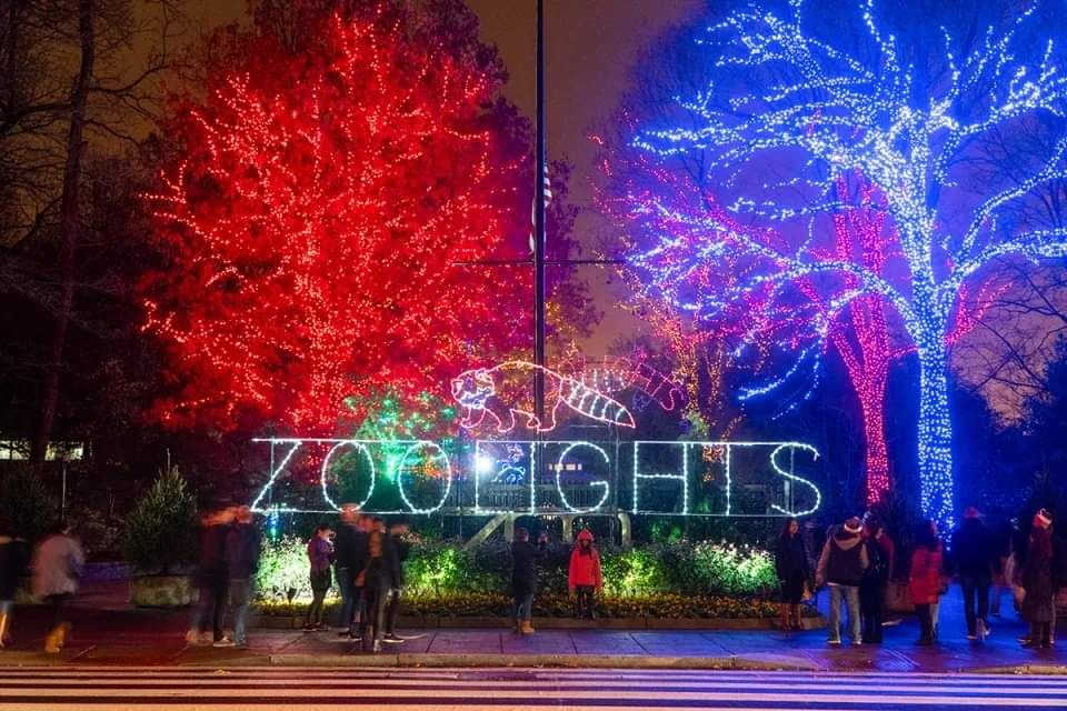 ZooLights Phoenix Zoo