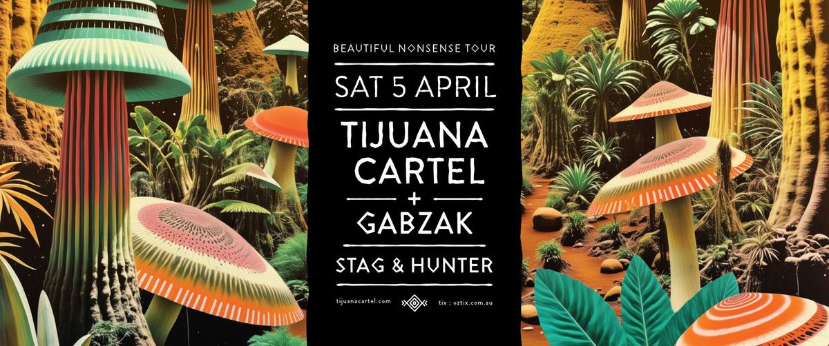 Tijuana Cartel - The Beautiful Nonsense Machine Tour with GabzaK \/\/ Newcastle, NSW