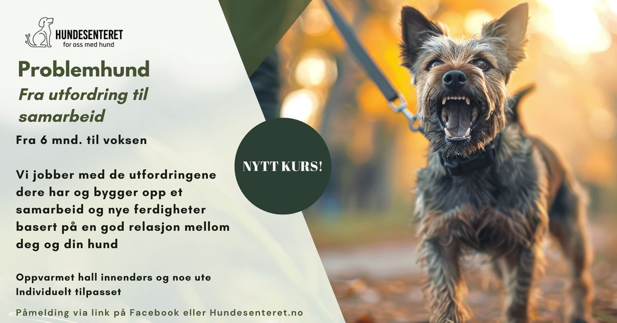 Problemhund: fra utfordring til samarbeid (ledige plasser)