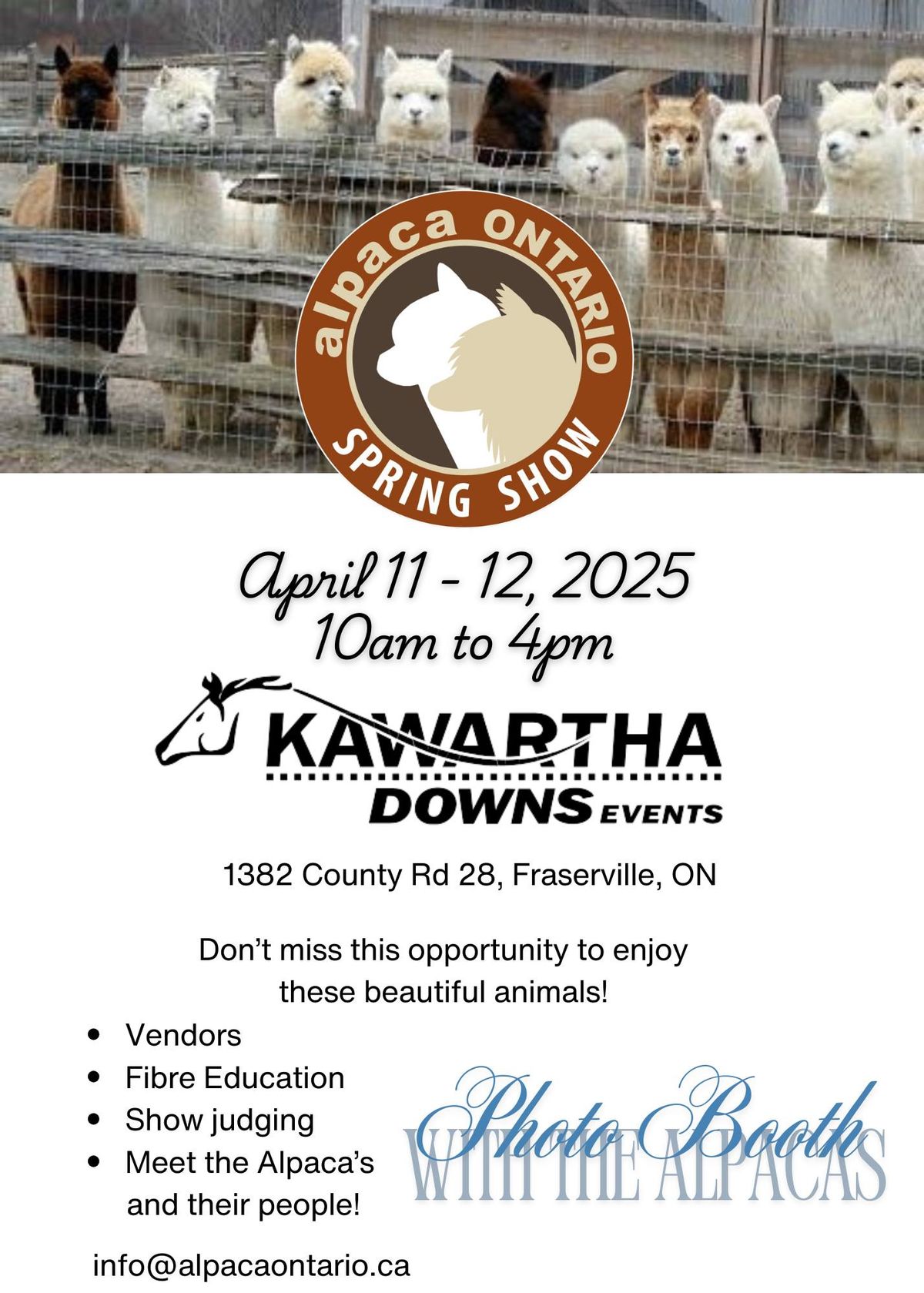 First Annual Alpaca Show and Market