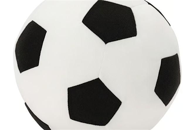 Summer Camp's SPARKA Kick Ball Challenge