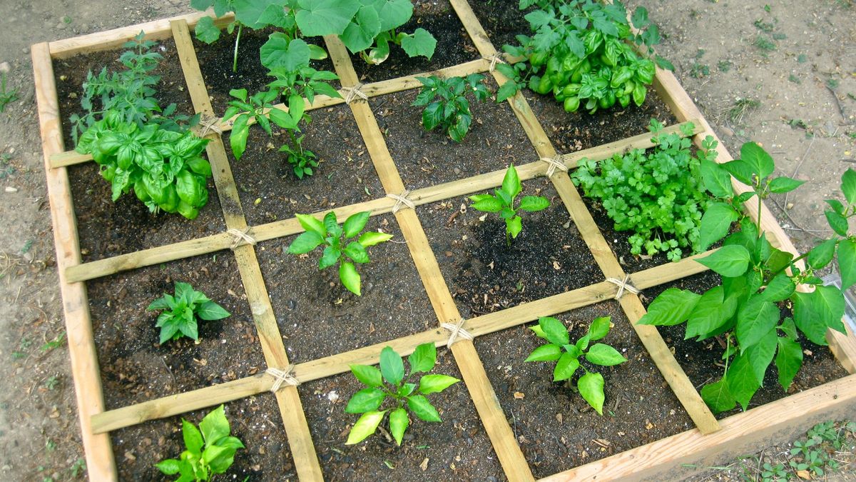 Square Foot Gardening