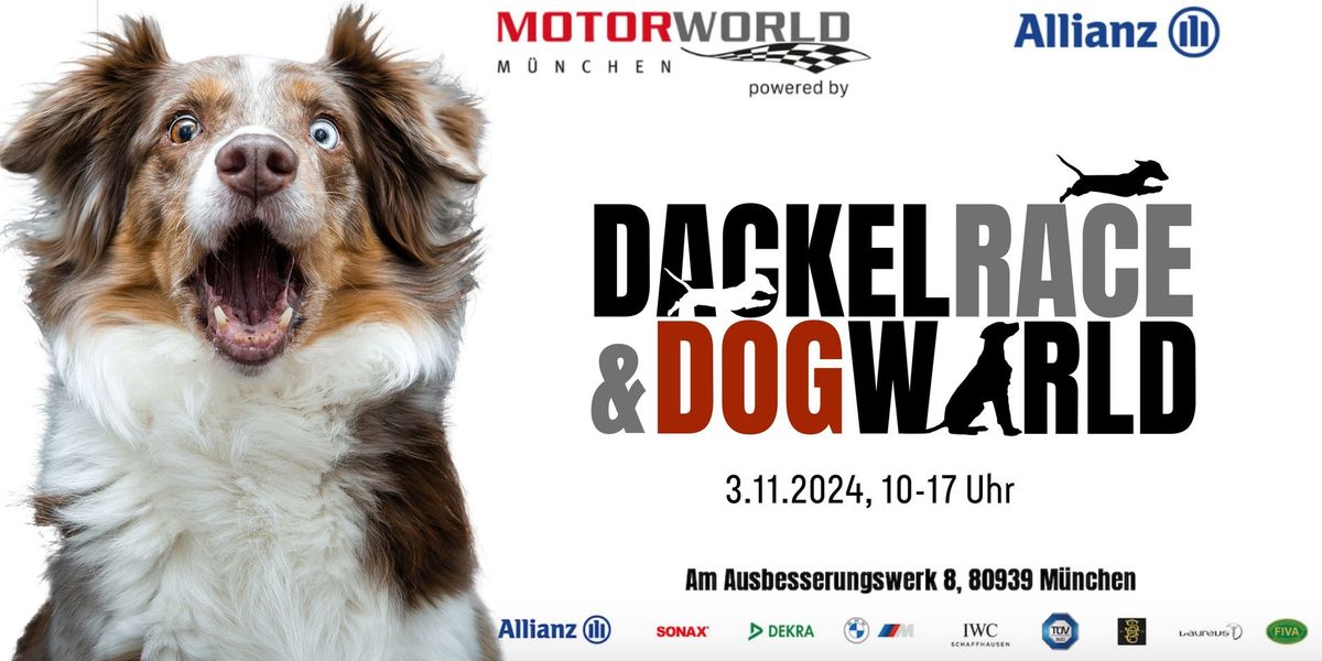 DackelRace & DogWorld