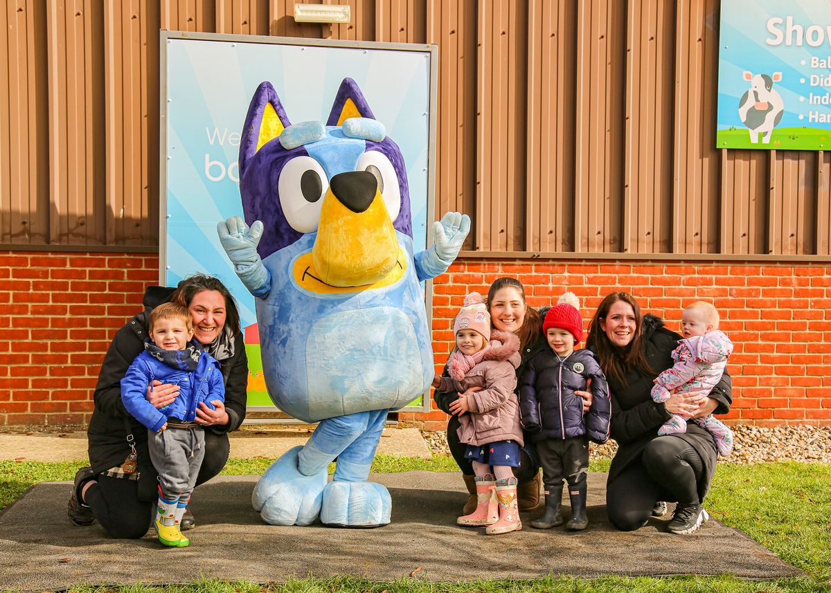 Bluey @ Barleylands Farm Park, Billericay, Essex