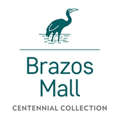 The Brazos Mall