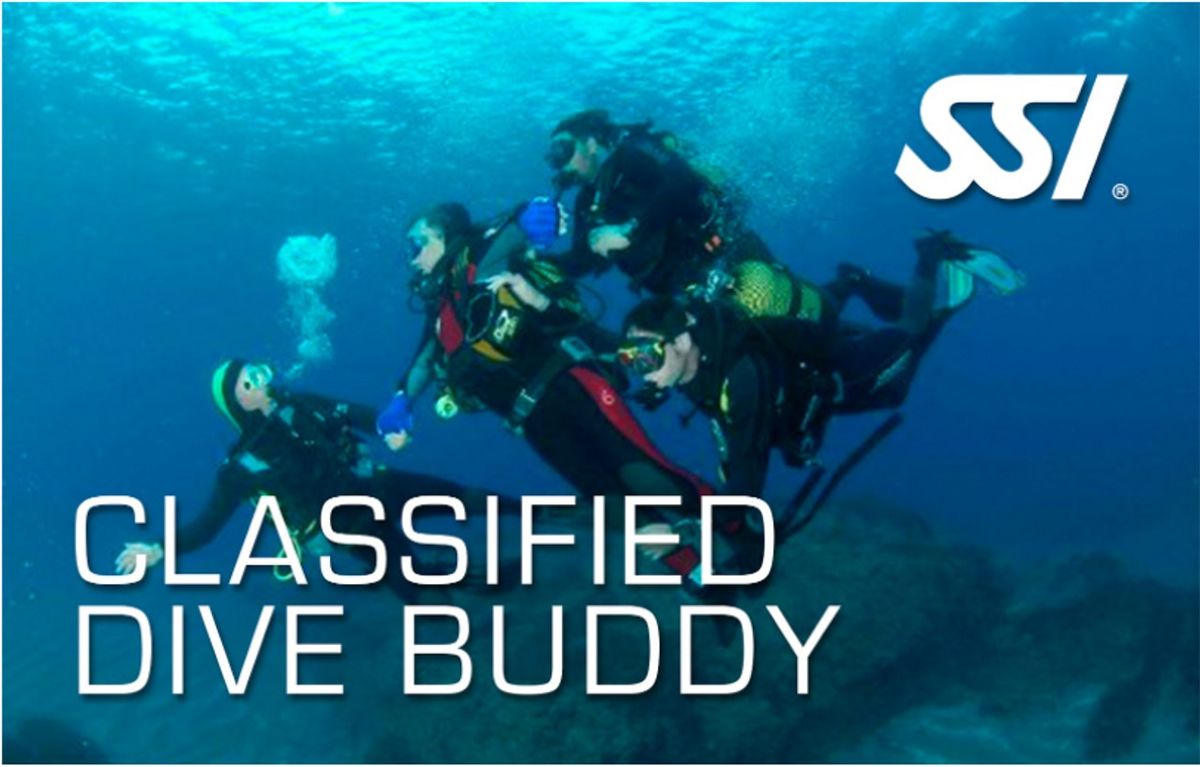 Classified Dive Buddy Certification - Portion of Proceeds go to "Hero\u2019s Diving for the Sea "