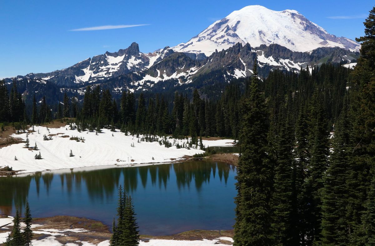 Edible & Medicinal Plants of the Pacific Northwest: Weekend Campout