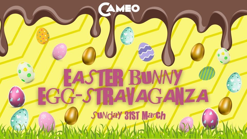 Easter Bunny Egg-Stravaganza