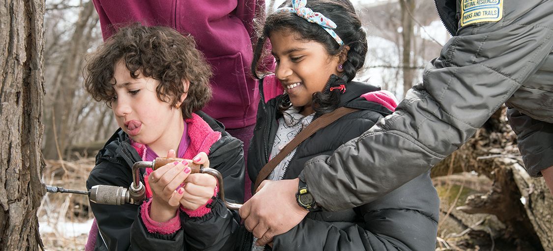 Maple Syrup - A Gift From the Trees