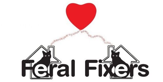 Feral Fixers Adoption Event