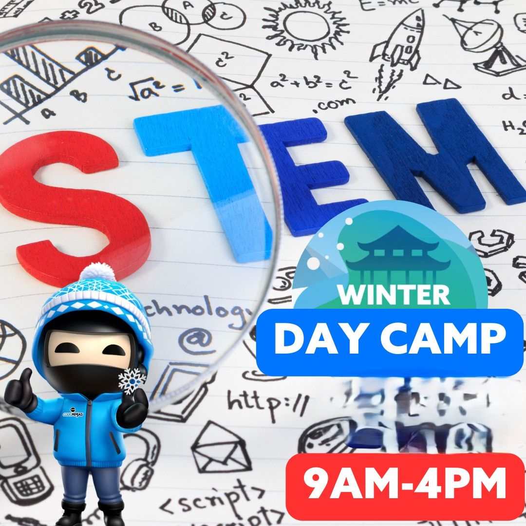 STEM Winter Day Camp