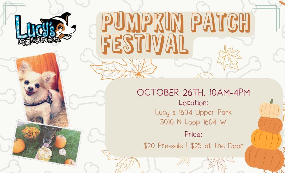 Lucy's Pumpkin Patch Festival