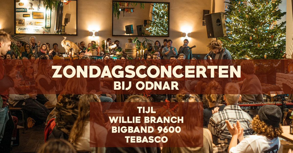 ZONDAGSCONCERTEN BIJ ODNAR