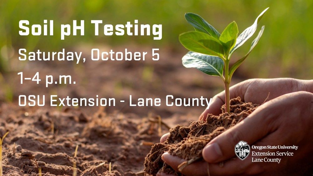 Soil pH Testing