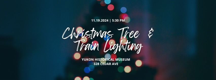 Downtown Christmas Tree & Train Lighting