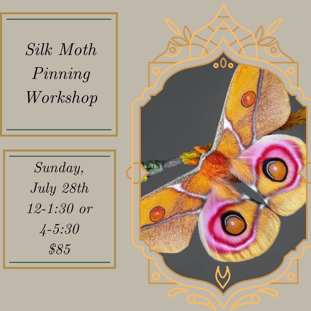 Silk Moth Pinning Workshop