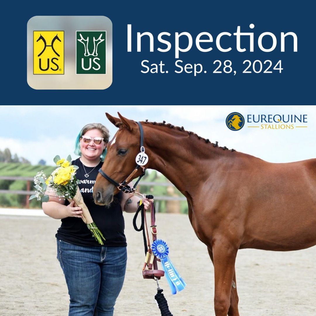 Hanoverian & Rhineland Inspection - Eurequine LLC