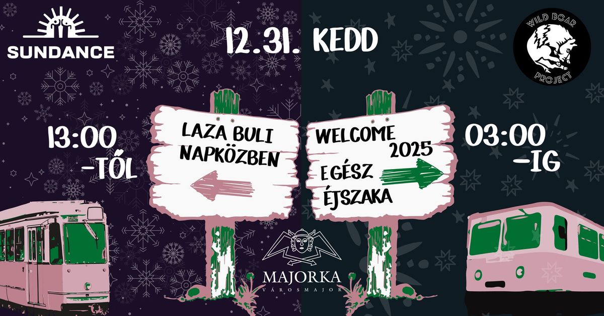  2025 New Year Party \/\/ Wild Boar Project X Majorka 