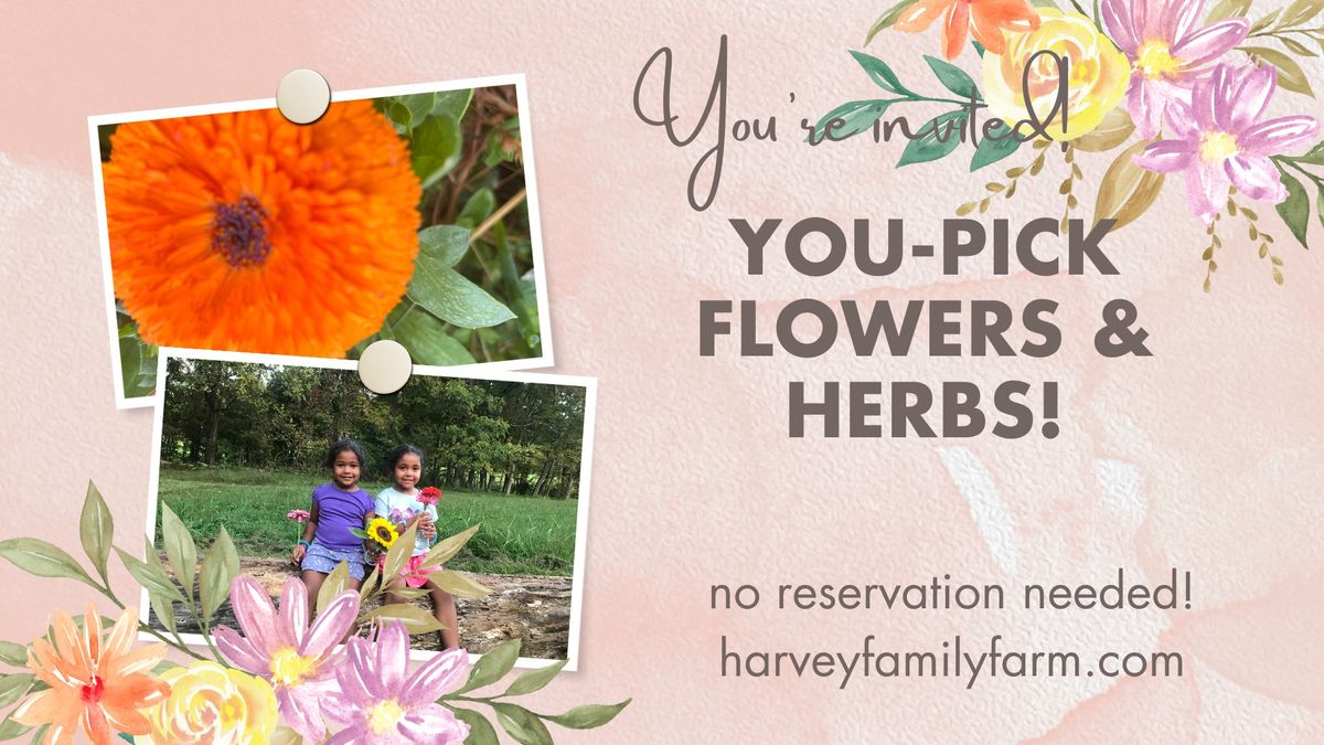 You-Pick Flowers & Herbs NEW HOURS!