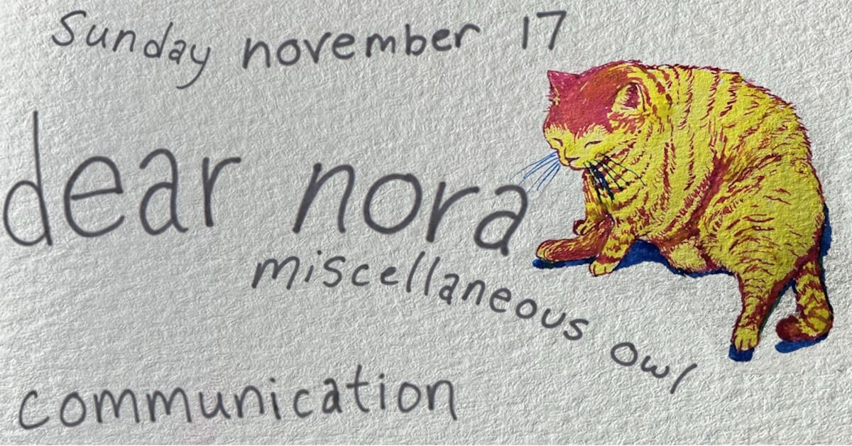 Dear Nora \/\/ Miscellaneous Owl @ Communication