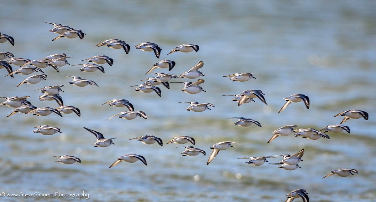 West Wittering