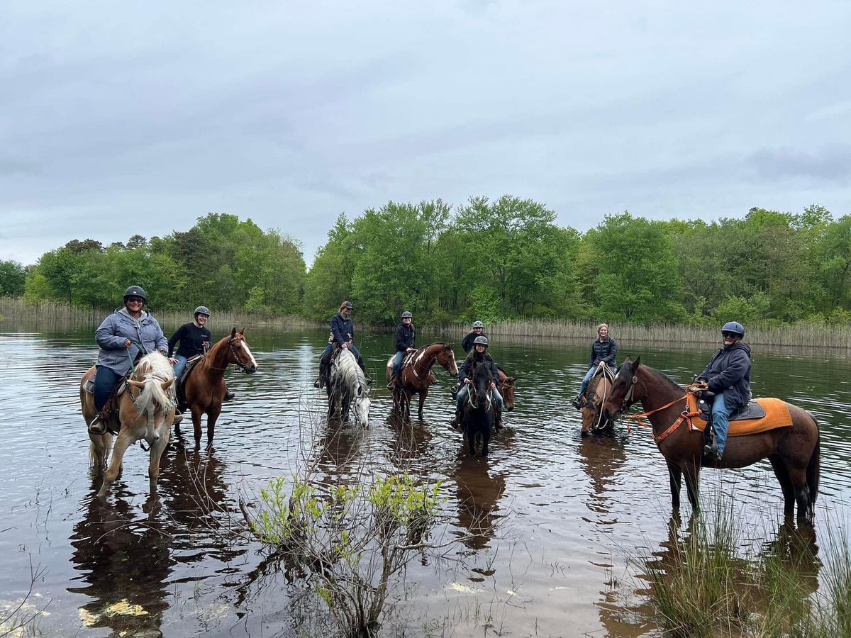 ARENA TRAIL & COW CLINIC INTERMEDIATE 