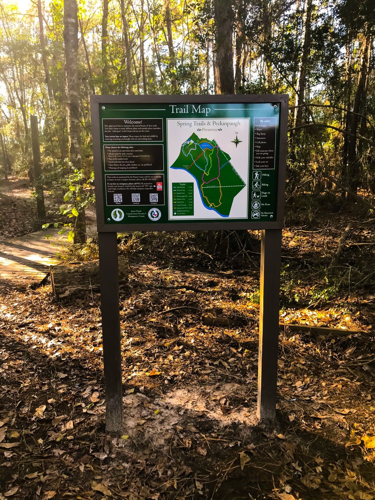 Trail Talk- Magic of the Forest