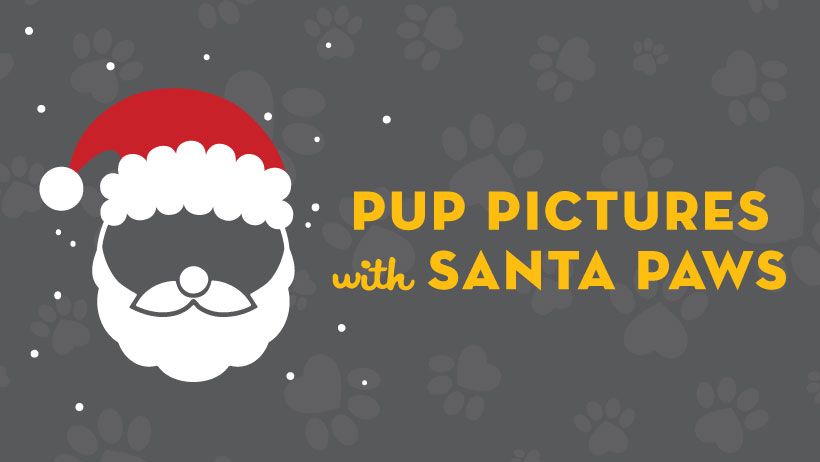 Santa Paws - MUTTS\u00ae Fort Worth