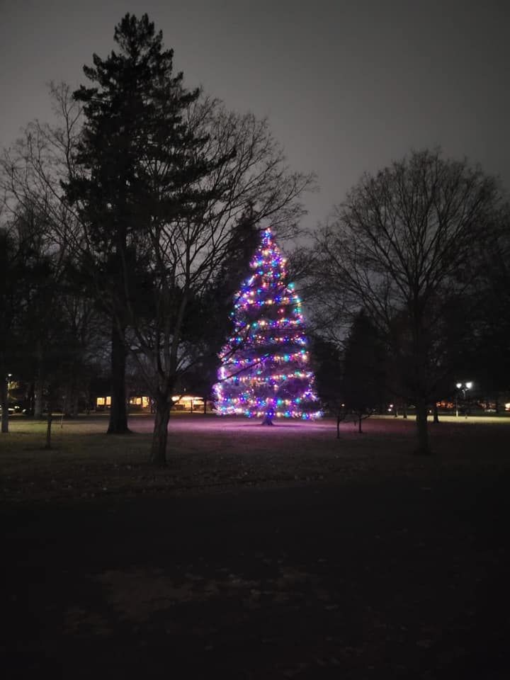 Corbin Park Tree Lighting