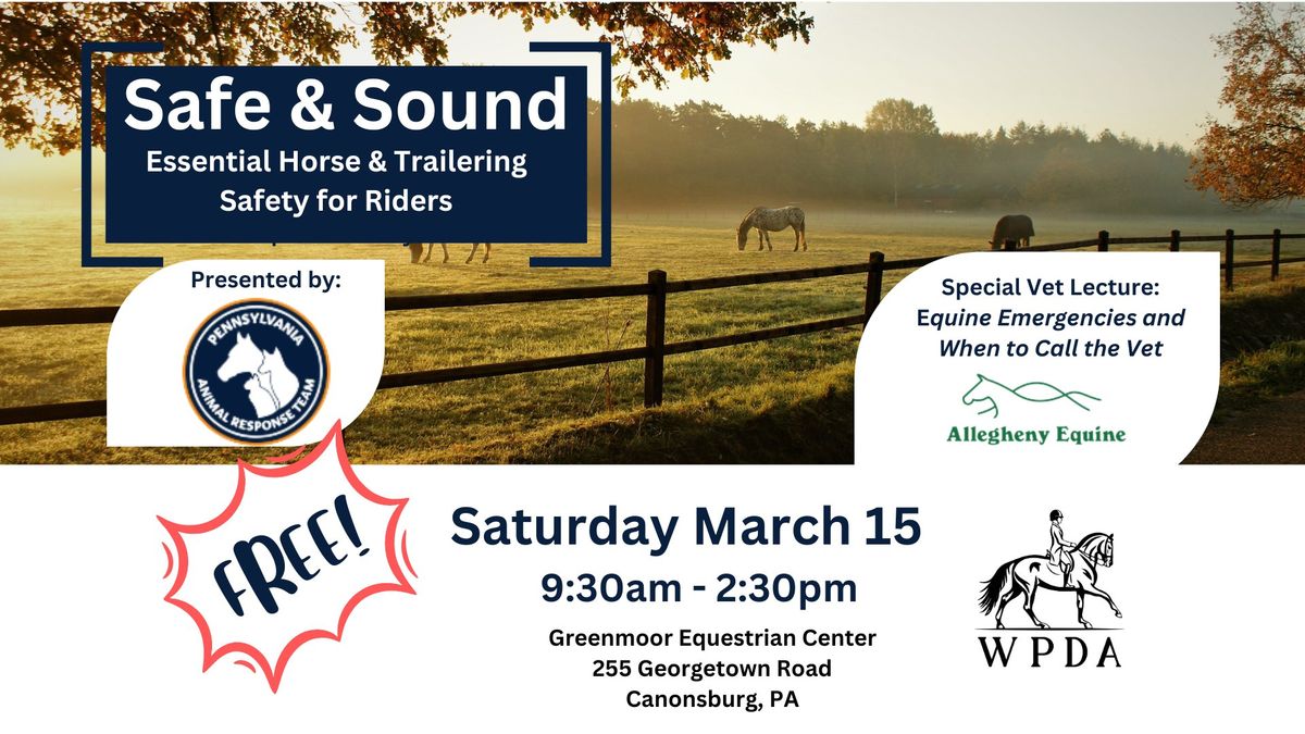 Safe & Sound: Essential Horse & Trailering Safety