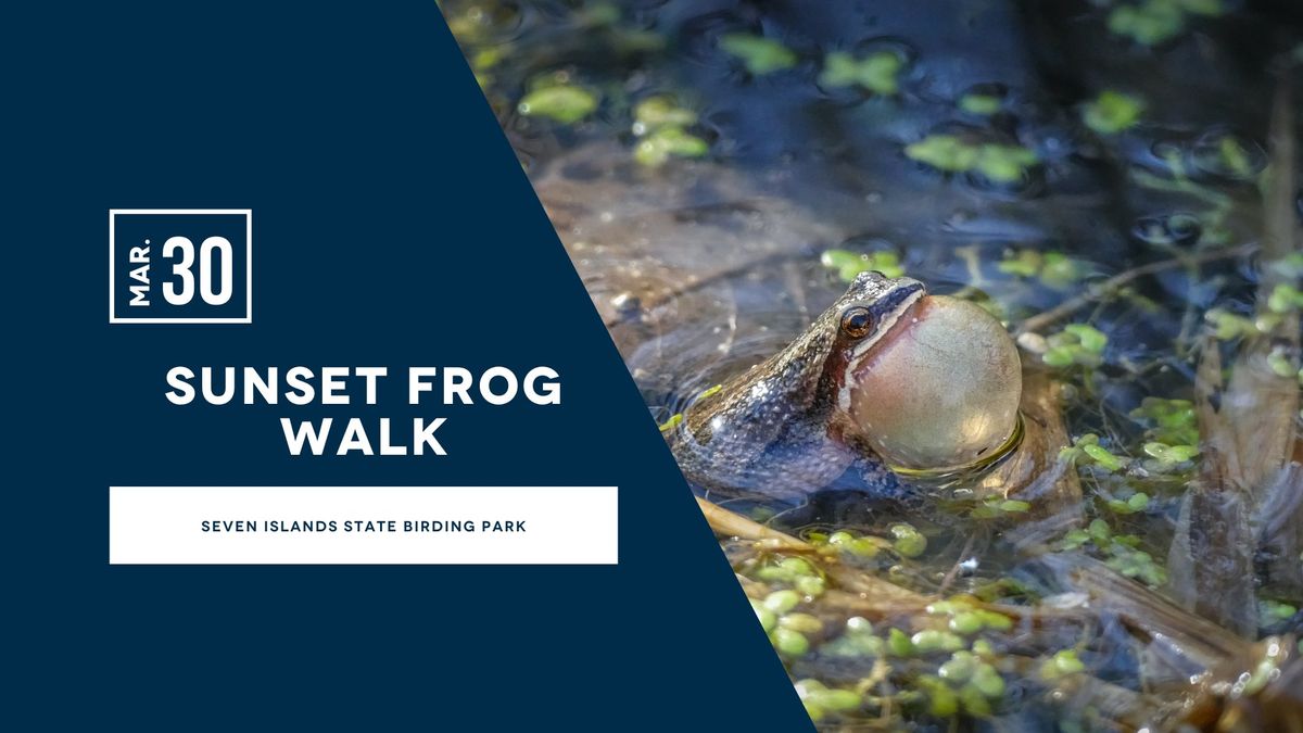 Sunset Frog Walk