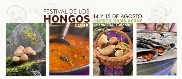 Festival de los hongos CDMX