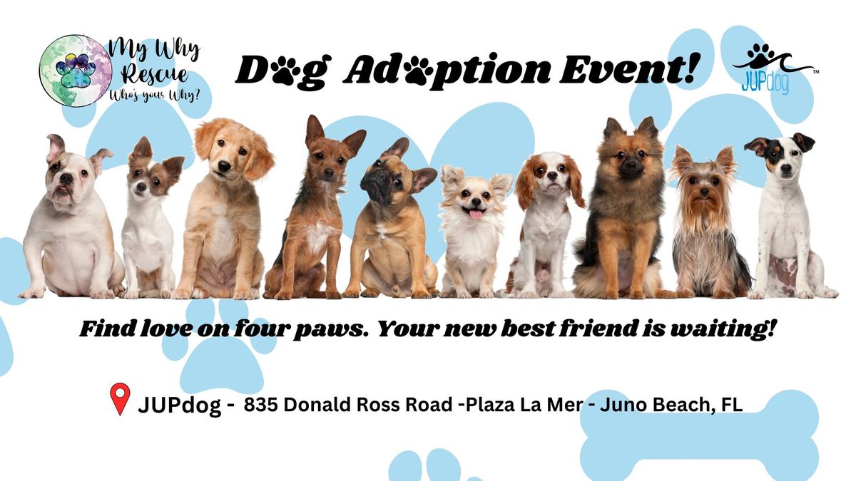 Dog Adoption Event with My Why Rescue