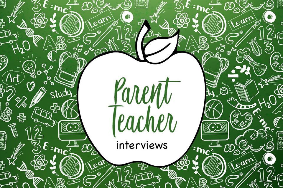 Parent\/Carer interviews