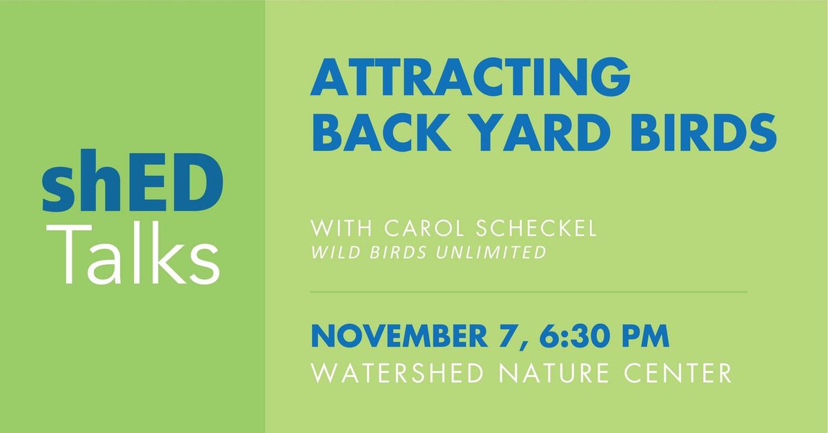 shED Talks Series: Attracting Back Yard Birds