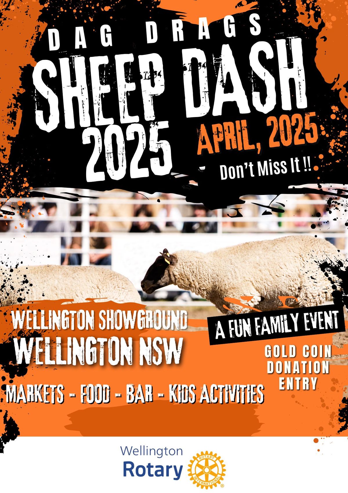 Wellington Rotary Dag Drags Sheep Dash