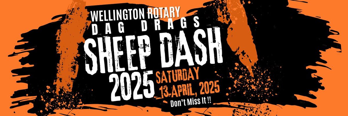 Wellington Rotary Dag Drags Sheep Dash