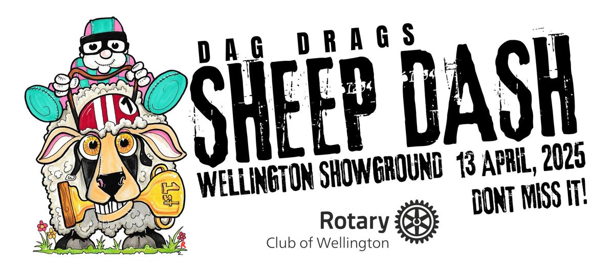 Wellington Rotary Dag Drags Sheep Dash