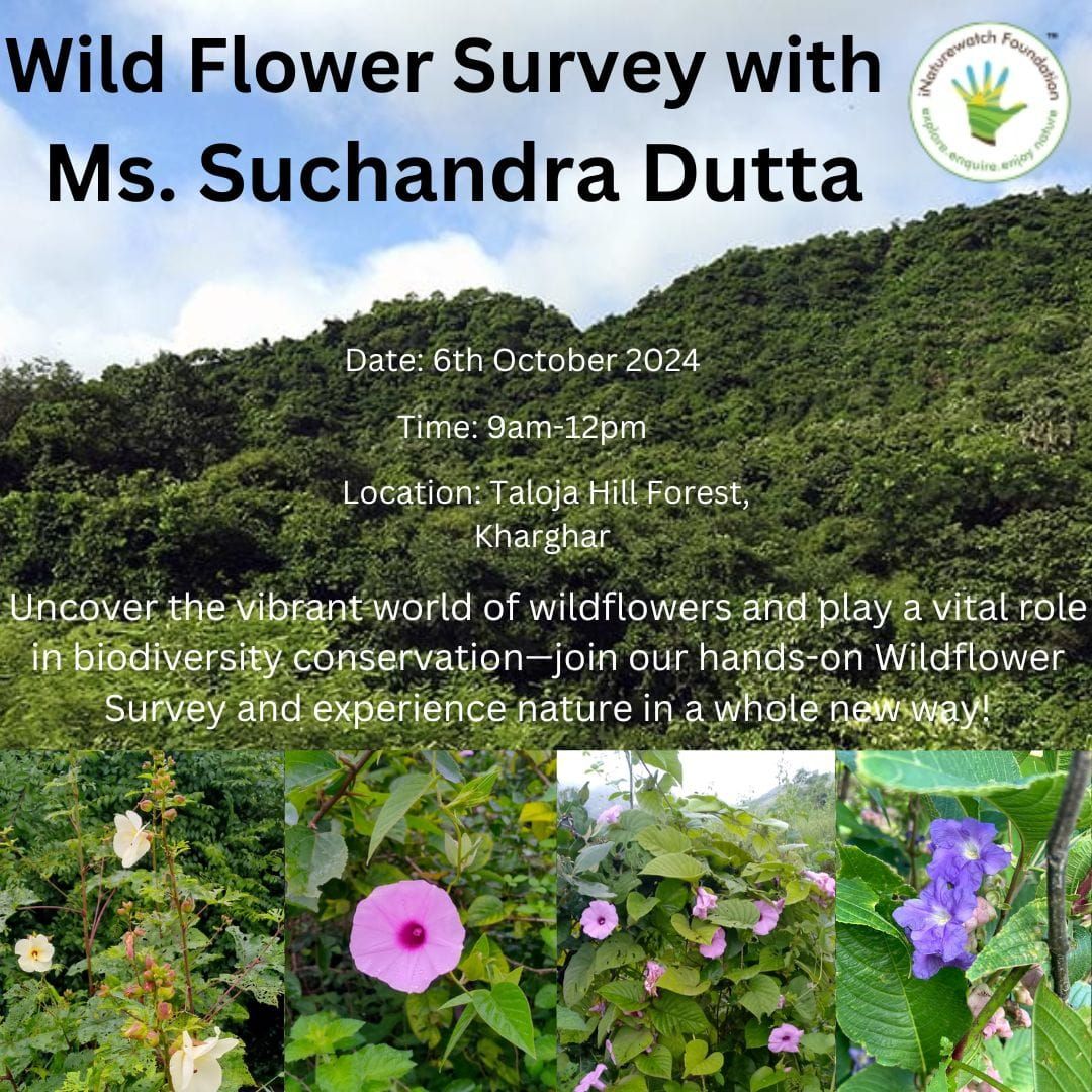 Wild Flower Survey with Ms. Suchandra Dutta