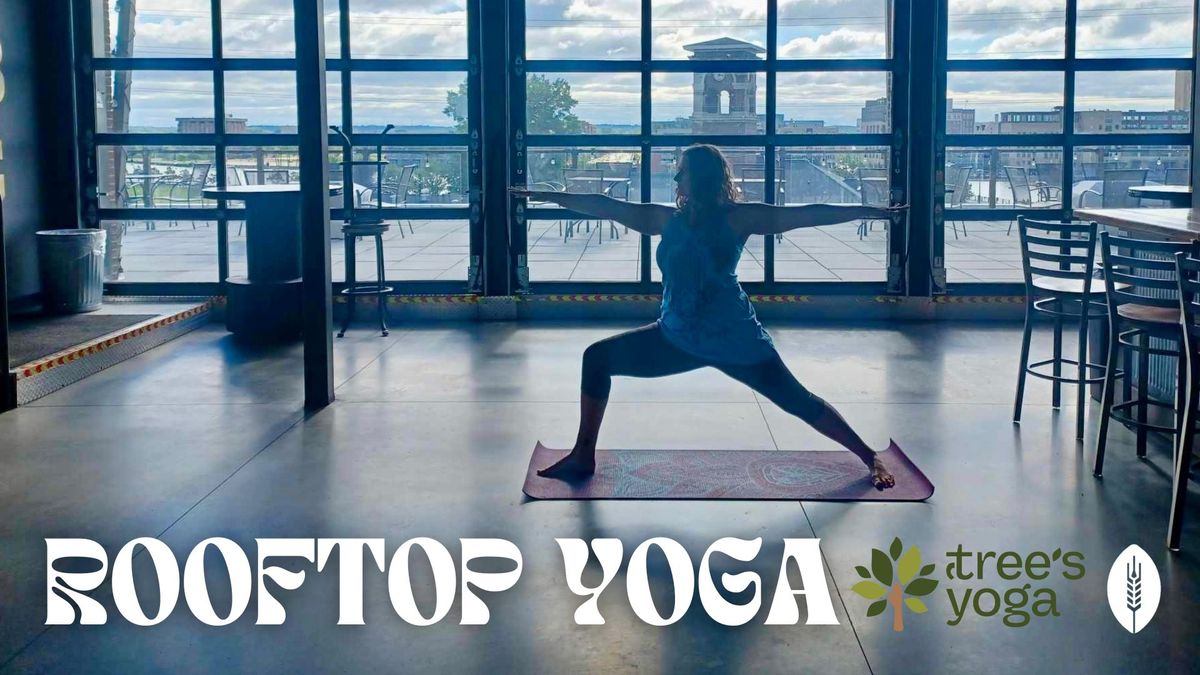 Rooftop Yoga with Tree!