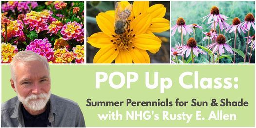 POP Up Class: Summer Perennials for Shade & Sun
