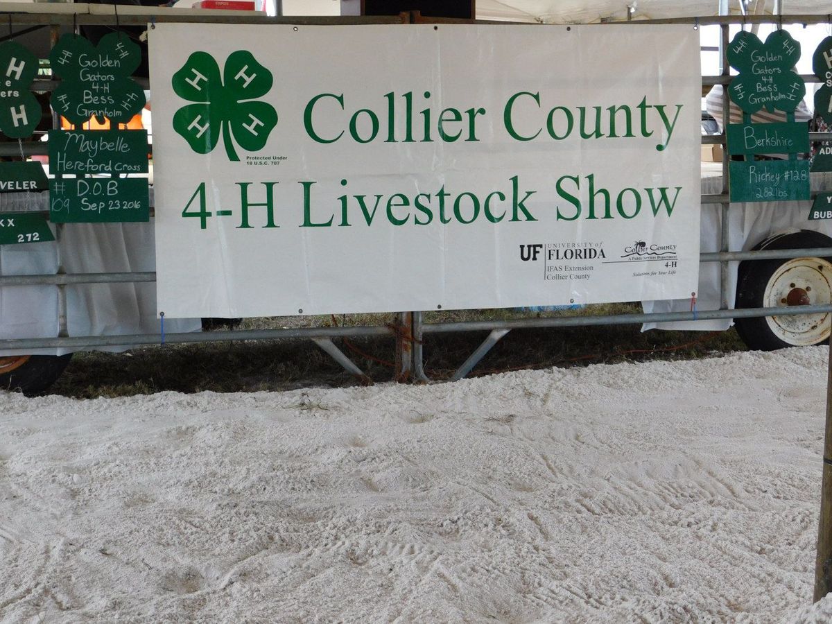 Collier County 4-H Livestock Show