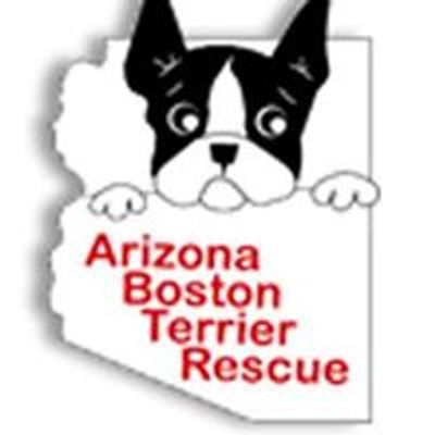 Arizona Boston Terrier Rescue