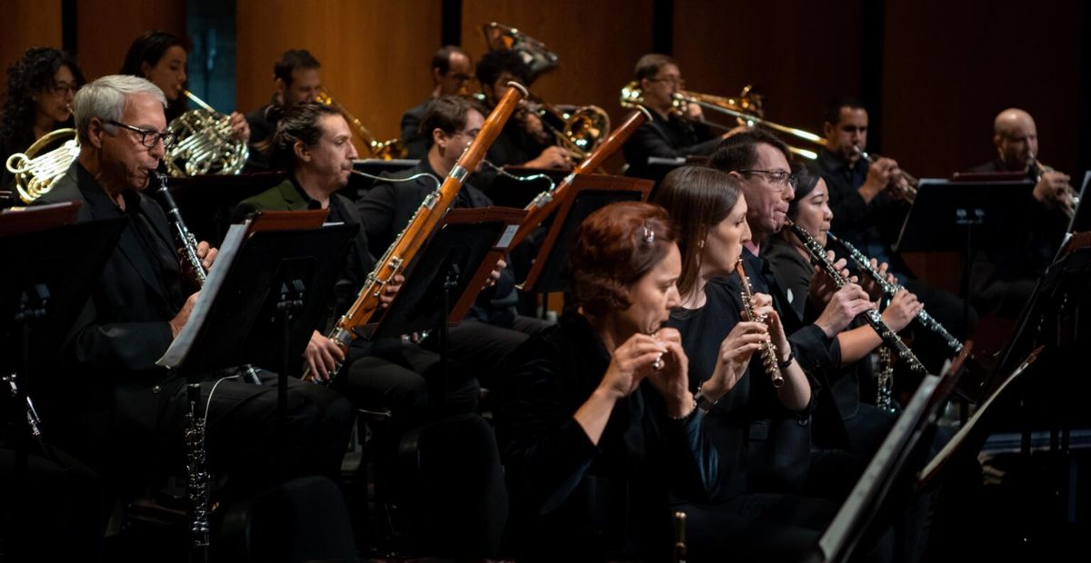 Concert Orchestra: Operatic Favorites