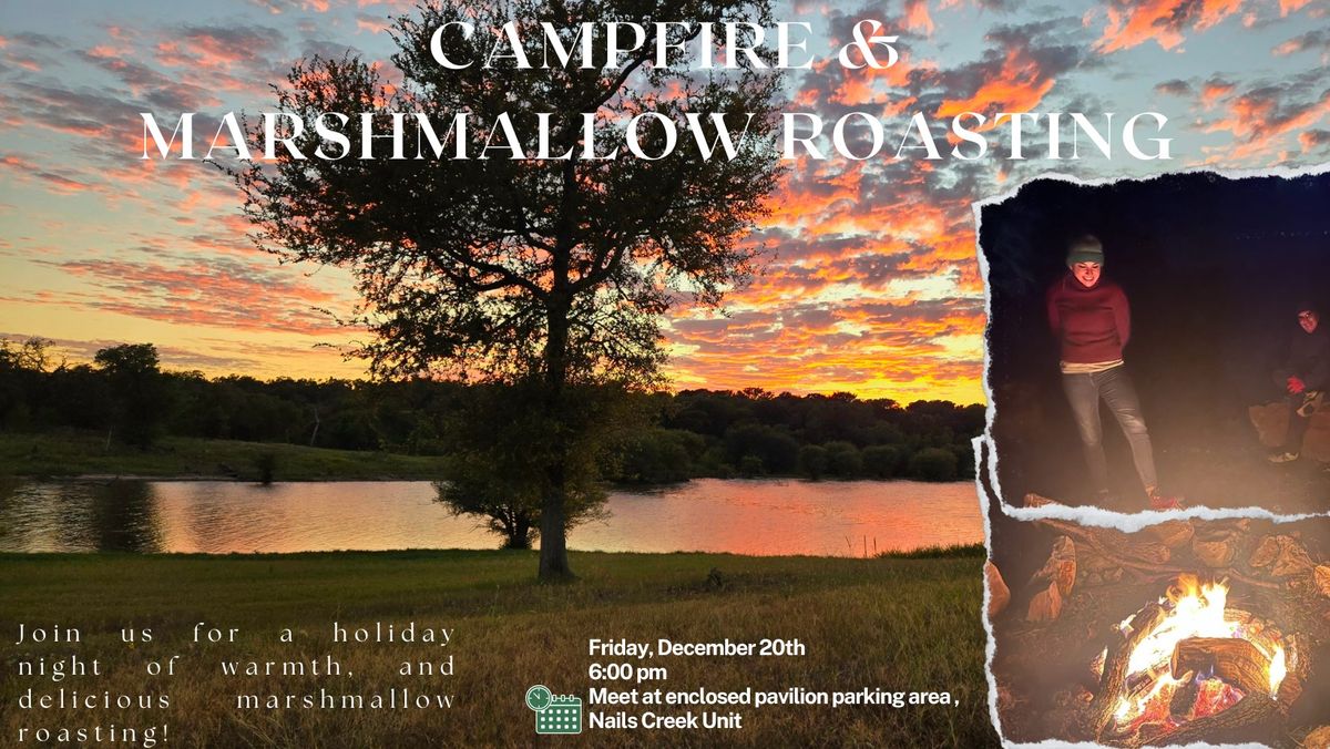 Campfire & Marshmallow Roasting 