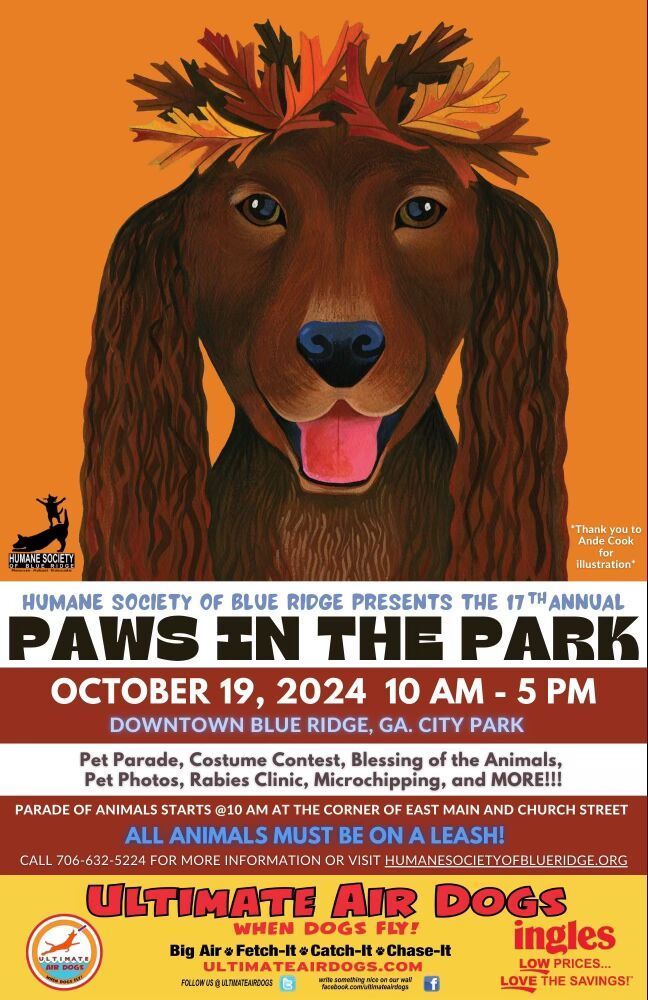 Paws in the Park